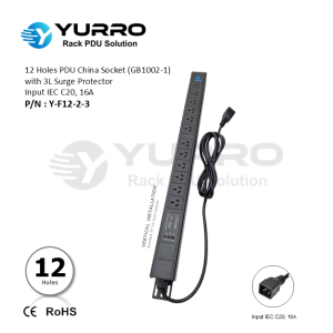 2 Holes PDU China Socket with 3L Surge Protector Input IEC C20, 16A